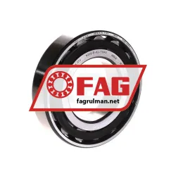 FAG N209-E-XL-TVP2