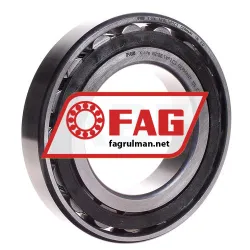 FAG N218-E-TVP2-C3