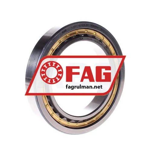 FAG NU1019-M1