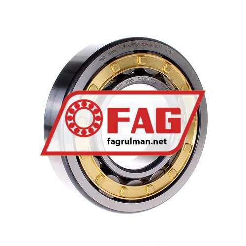 FAG NU318-E-M1-C4