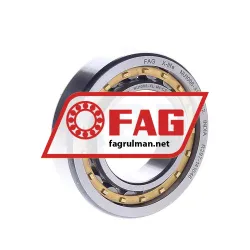 FAG NU1006-XL-M1-C2