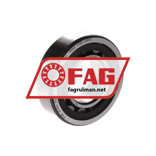 FAG NJ205-E-XL-TVP2-QP51