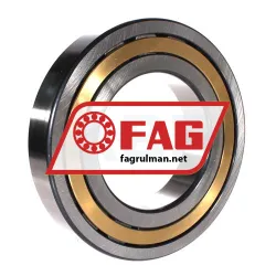 FAG NJ224-E-XL-M1-C3 rulman resim 2