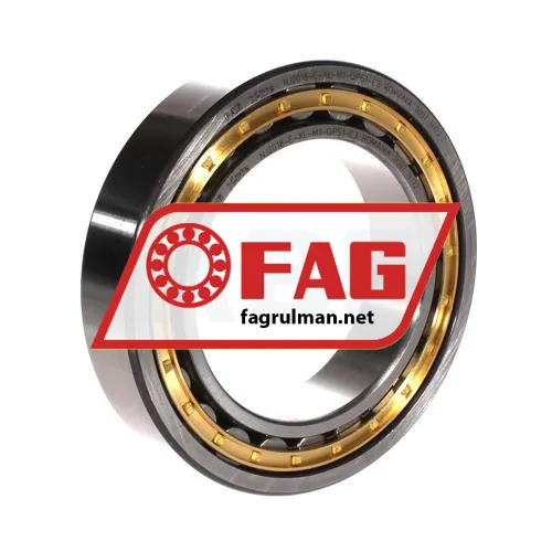 FAG NJ2018-E-XL-M1-QP51-C3