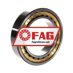 FAG NJ2018-E-XL-M1-QP51-C3