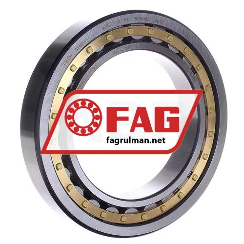 FAG NJ1022-XL-M1
