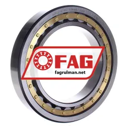 FAG NJ1022-XL-M1