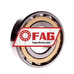 FAG N312-E-XL-M1-C3 rulman resim 3