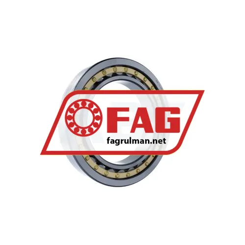 FAG NU1038-XL-M1-C3