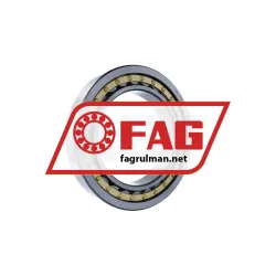FAG NU1038-XL-M1-C3