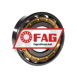 FAG N313-E-XL-M1-C3