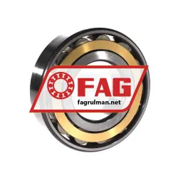 FAG N313-E-XL-M1-C3 rulman resim 2