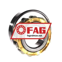 FAG N313-E-XL-M1-C3 rulman resim 3
