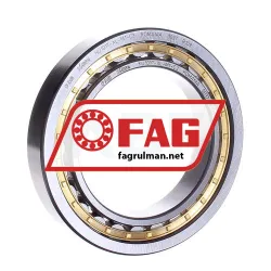 FAG NU1017-XL-M1-C3