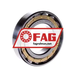 FAG N212-E-XL-M1-C3 rulman resim 2