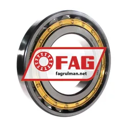 FAG N228-E-XL-M1