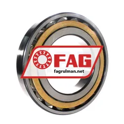 FAG N228-E-XL-M1 rulman resim 2