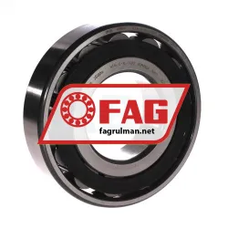 FAG N314-E-XL-TVP2