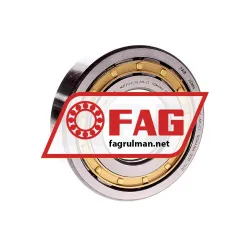 FAG NUP311-E-XL-M1-C3