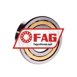 FAG NUP311-E-XL-M1-C3 rulman resim 3