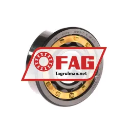 FAG NU305-E-XL-M1-C3