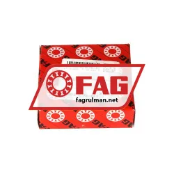 FAG NU305-E-XL-M1-C3 rulman resim 4