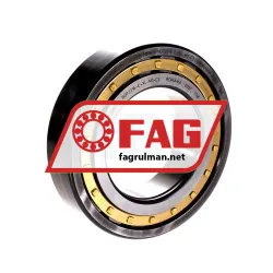 FAG NUP2216-E-XL-M1-C3