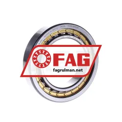 FAG NU1011-XL-M1-C3