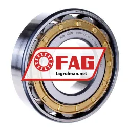 FAG N315-E-XL-M1-C3