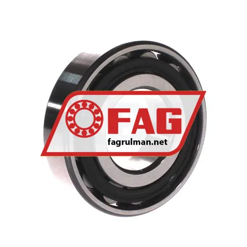 FAG N310-E-XL-TVP2 ürün fotoğrafı 2