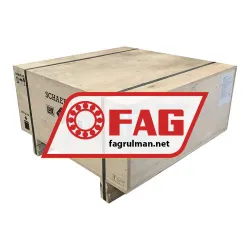 FAG NU1088-TB-M1