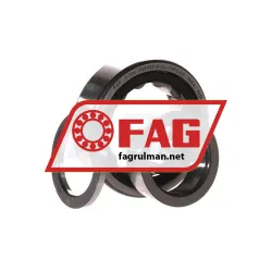 FAG NUP205-E-XL-TVP2-C3 rulman resim 3