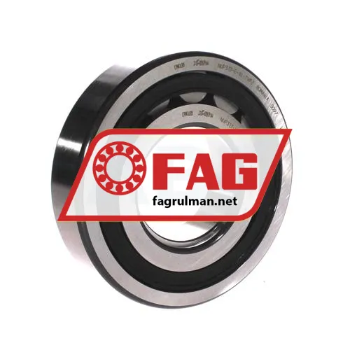 FAG NUP313-E-XL-TVP2