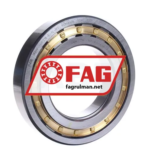 FAG NUP218-E-XL-M1
