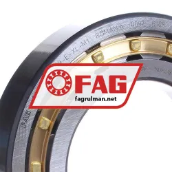 FAG NUP218-E-XL-M1 rulman resim 2