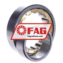 FAG NU2211-E-XL-M1-C3 rulman resim 3