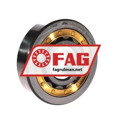 FAG NJ409-XL-M1A-C3
