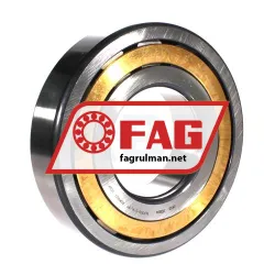 FAG NUP318-E-XL-M1 rulman resim 2