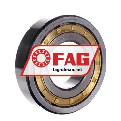 FAG NUP314-E-XL-M1-F1-C3