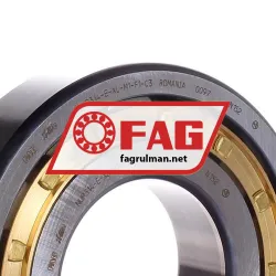 FAG NUP314-E-XL-M1-F1-C3 rulman resim 2