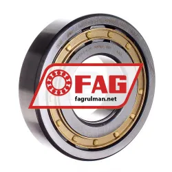 FAG NUP311-E-XL-M1