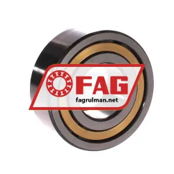 FAG NUP2309-E-XL-M1-C3 rulman resim 2