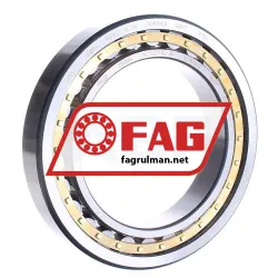 FAG NU1021-XL-M1