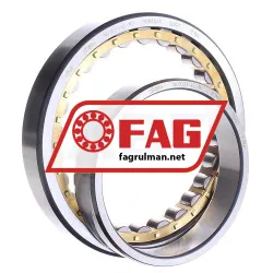 FAG NU1021-XL-M1 rulman resim 3