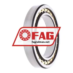 FAG NU1021-XL-M1 rulman resim 4