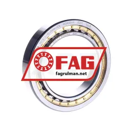 FAG NU1013-XL-M1A-C3