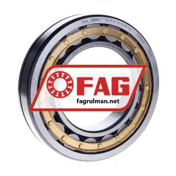 FAG NJ219-E-XL-N-M1-C3