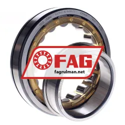 FAG NJ219-E-XL-N-M1-C3 rulman resim 2