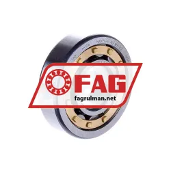 FAG NJ305-E-XL-M1-C3