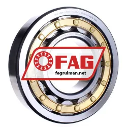 FAG NU320-E-XL-M1-C3